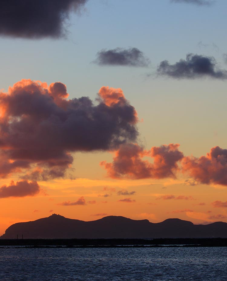 Favignana