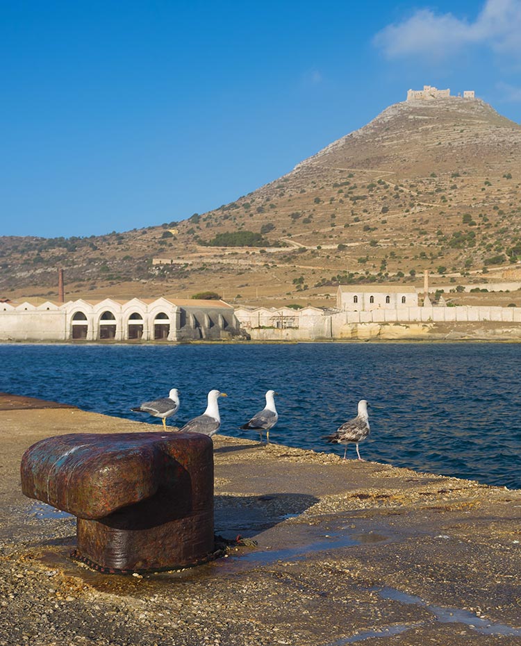 Favignana