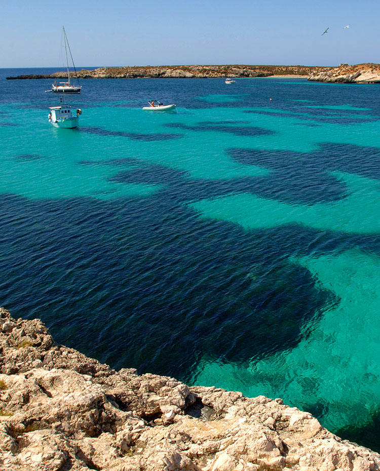 Favignana