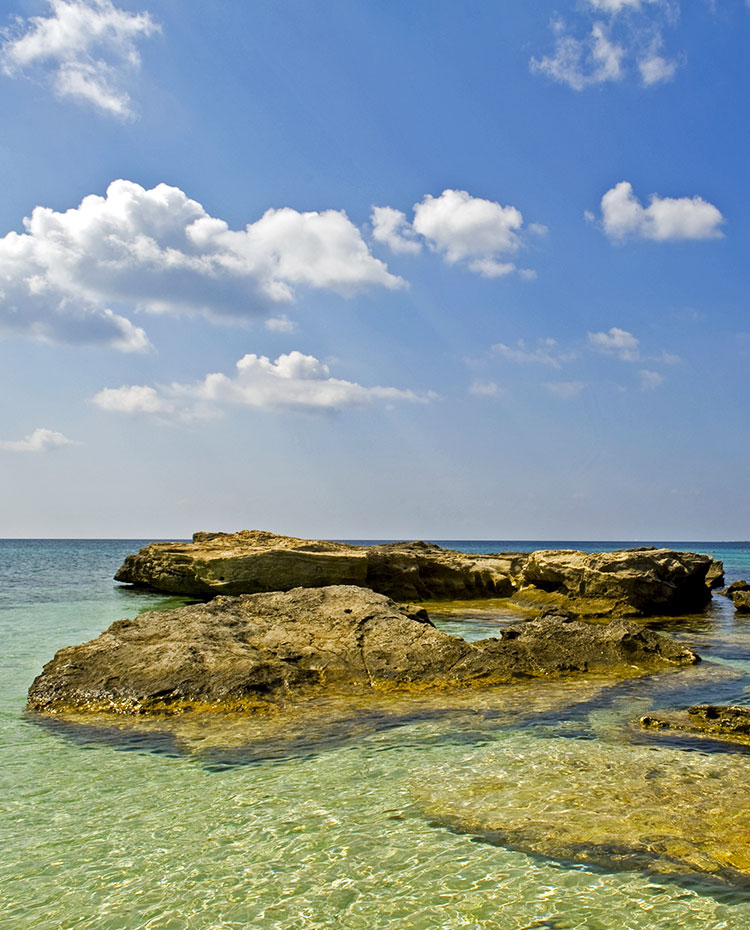Favignana