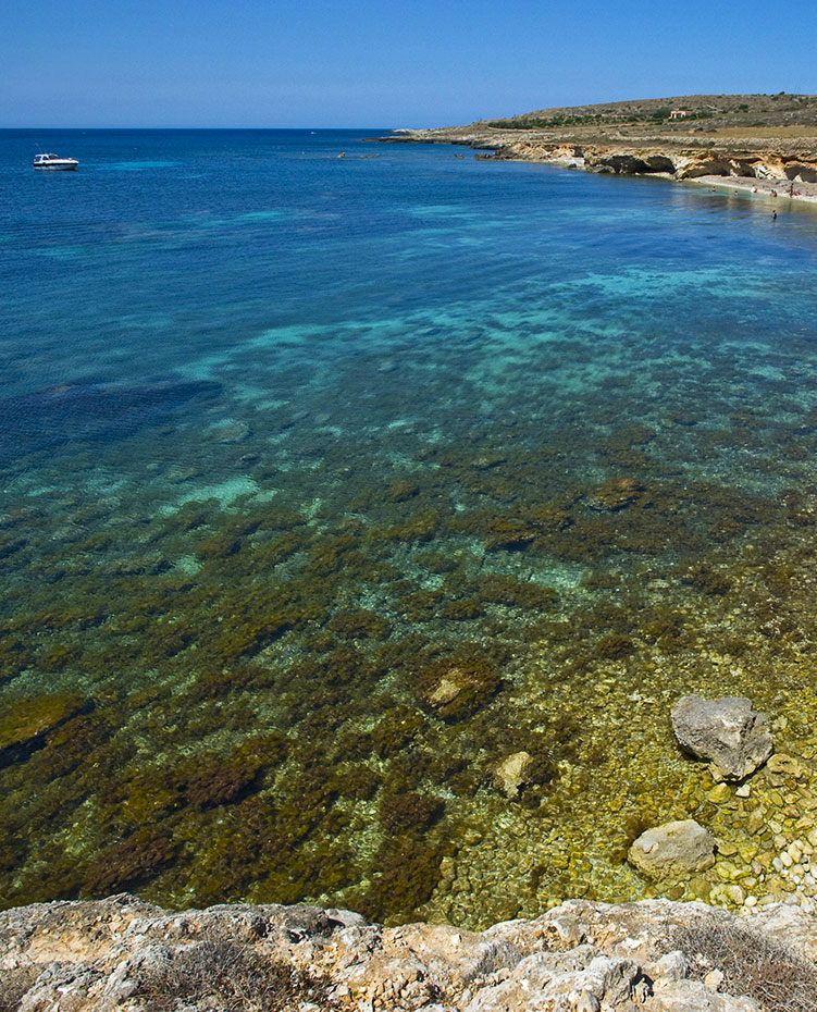 Favignana